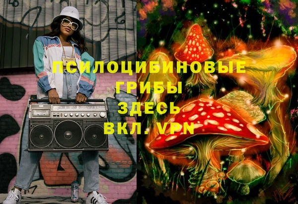 молекула духа Володарск