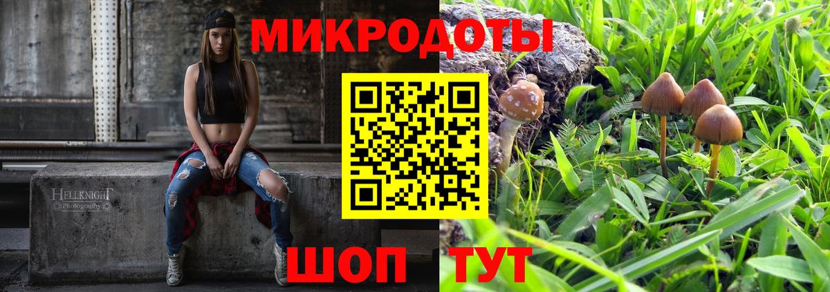 Галлюциногенные грибы Cubensis  Вход с VPN  Северодвинск 